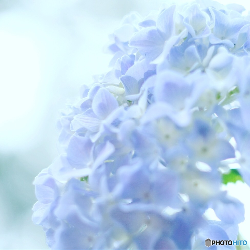 梅雨いろ