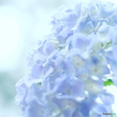梅雨いろ