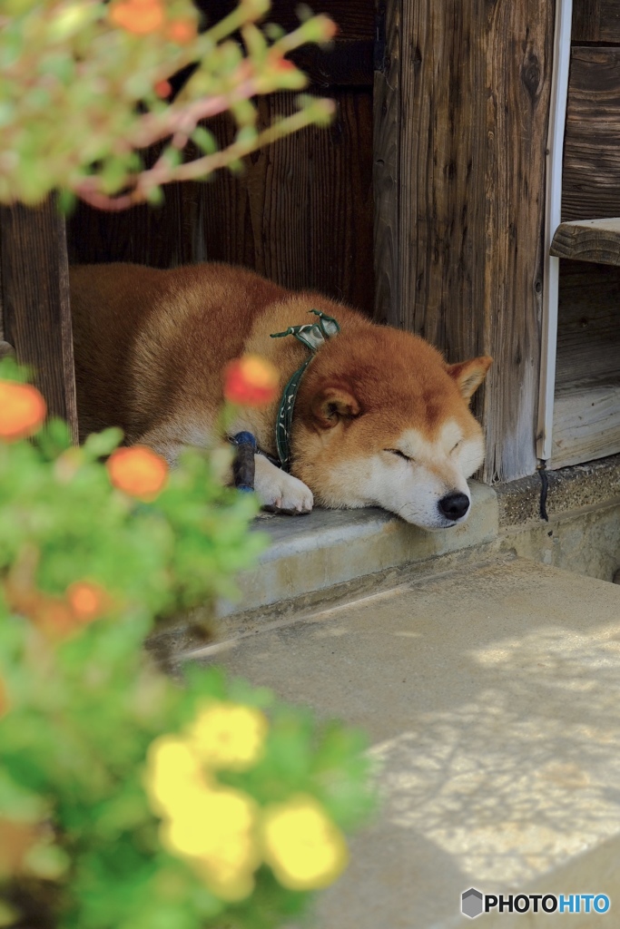 zzz…