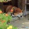 zzz…