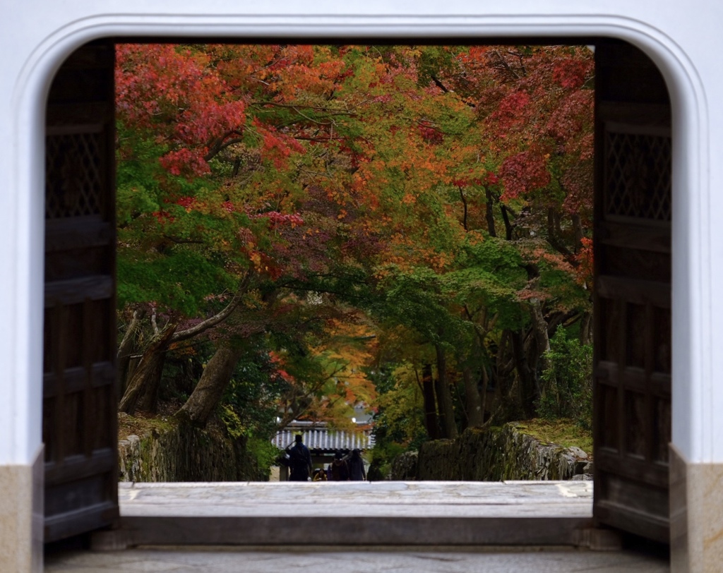 門縁