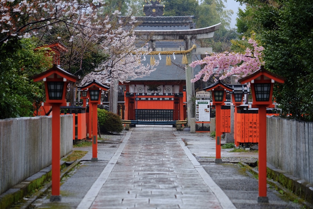 雨の日の