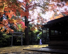 朝の静けさ…