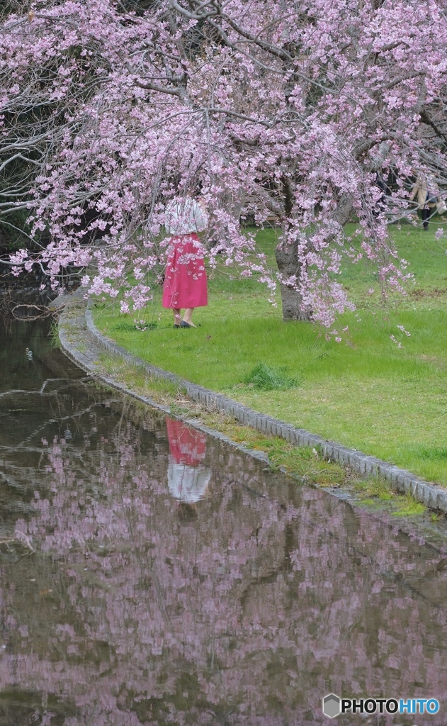 ピンクピンクピンク