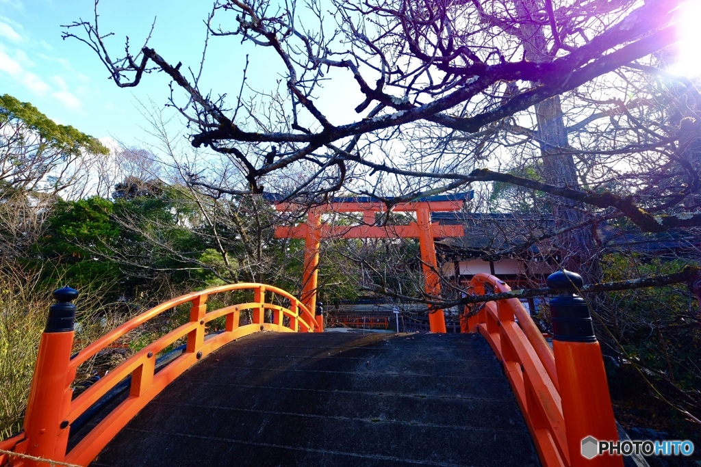 初詣…