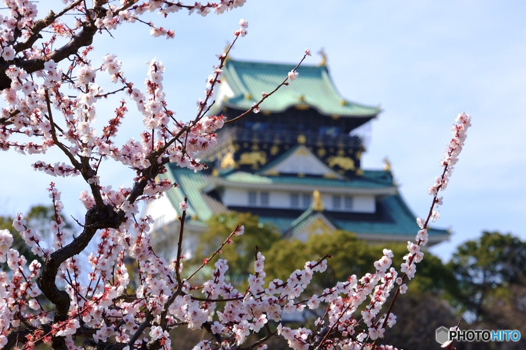 大阪城