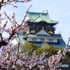 大阪城