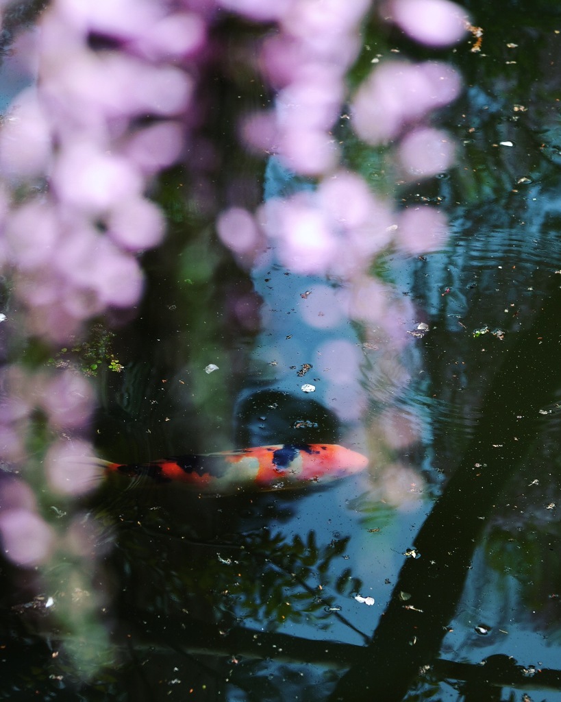 萬葉植物園