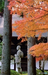 一休寺