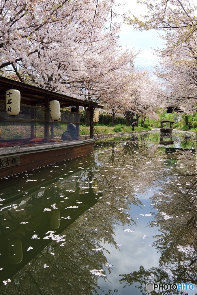 桜並木の先には…