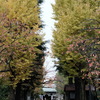 香取神社