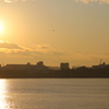 夕日間近