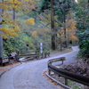 高尾山1号路