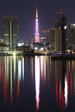 豊洲から夜景1