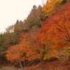 日塩もみじライン　紅葉