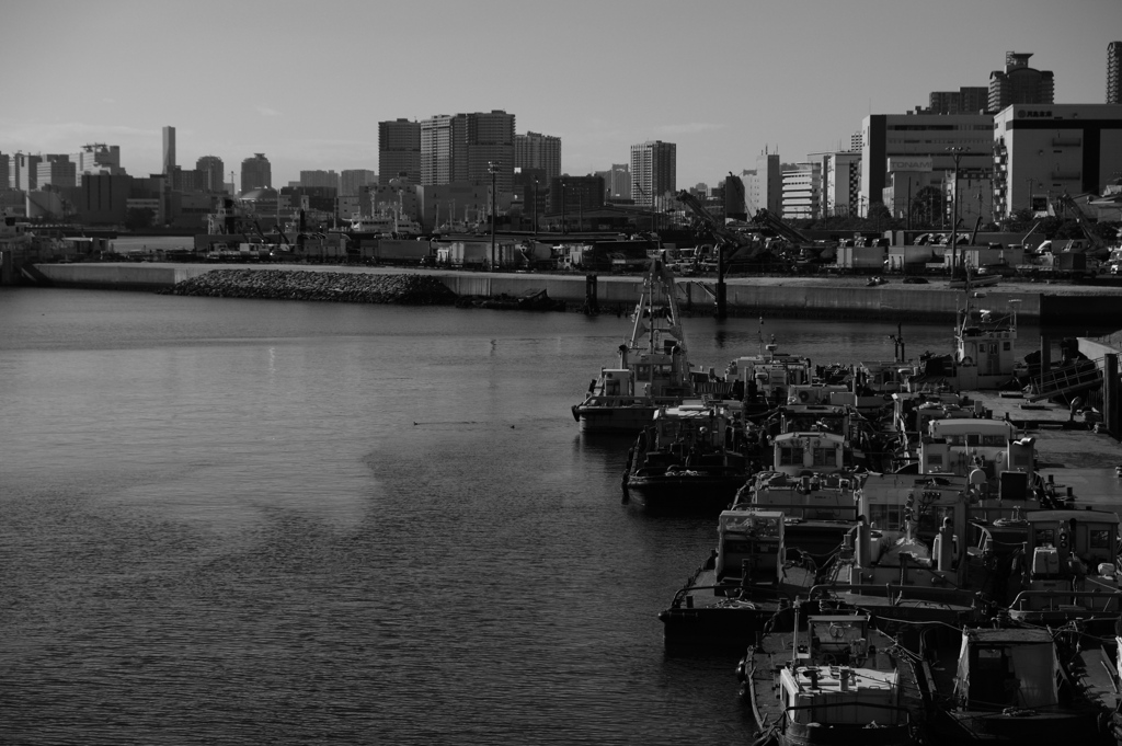 東京湾1　ACROS
