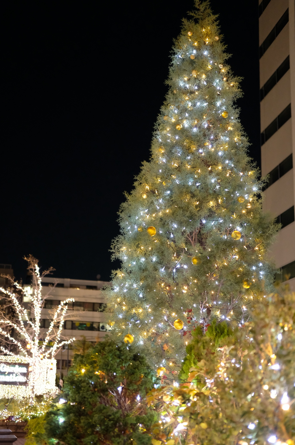 クリスマスツリー