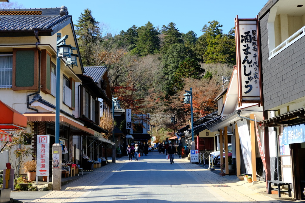 高尾山麓
