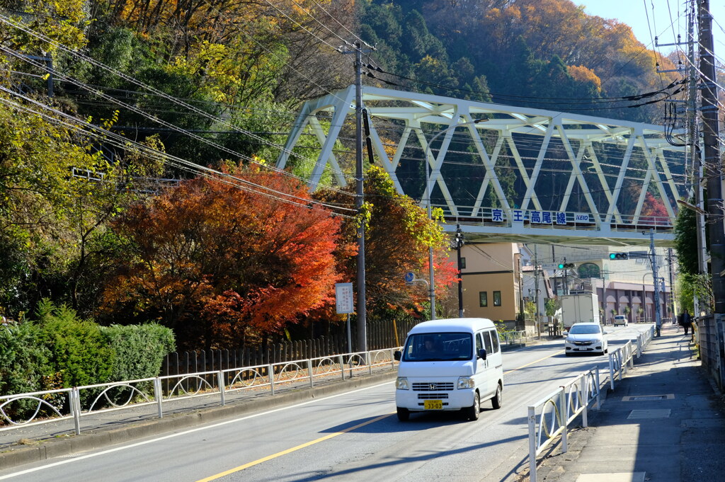 高尾山近くの紅葉
