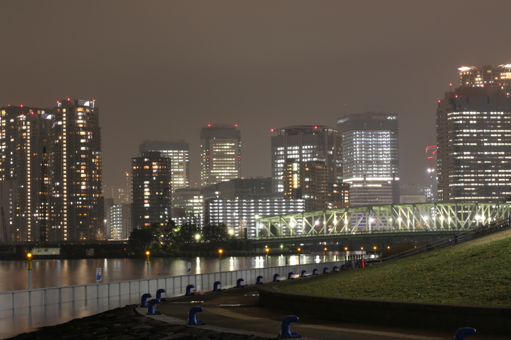 佃公園から夜景2
