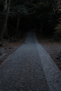 高尾山1号路