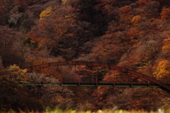 那須塩原　森林の駅から見える謎の橋