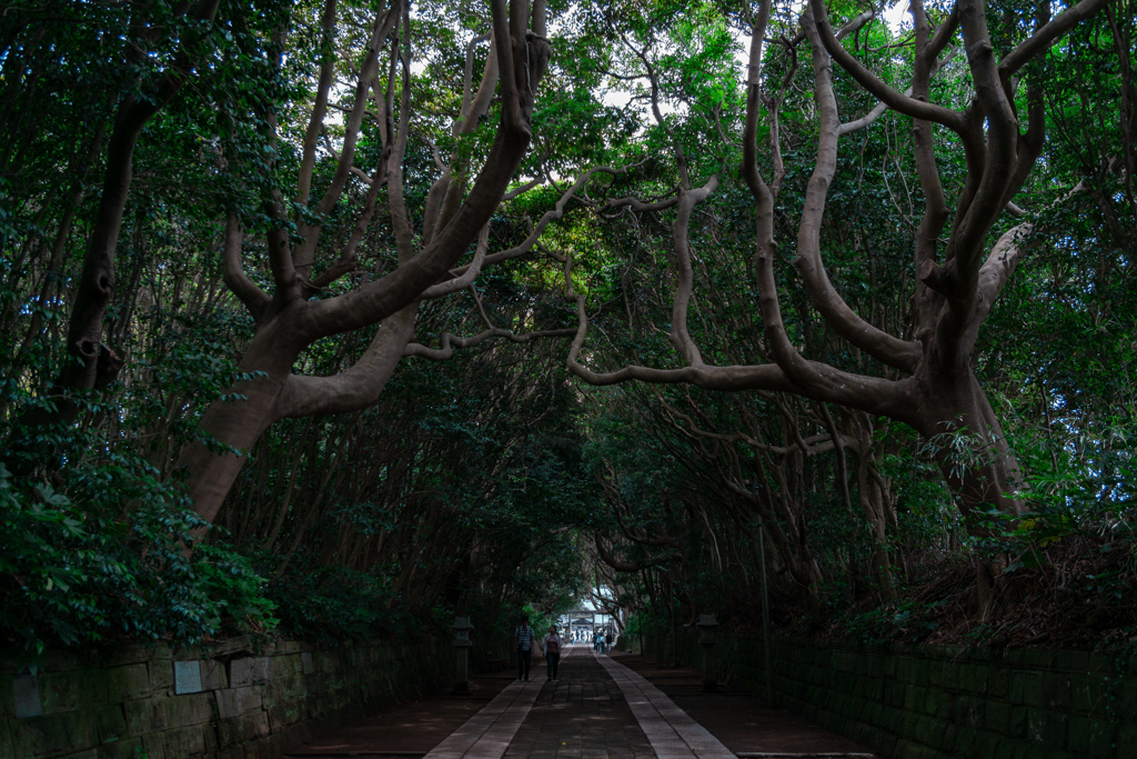 酒列磯前参道