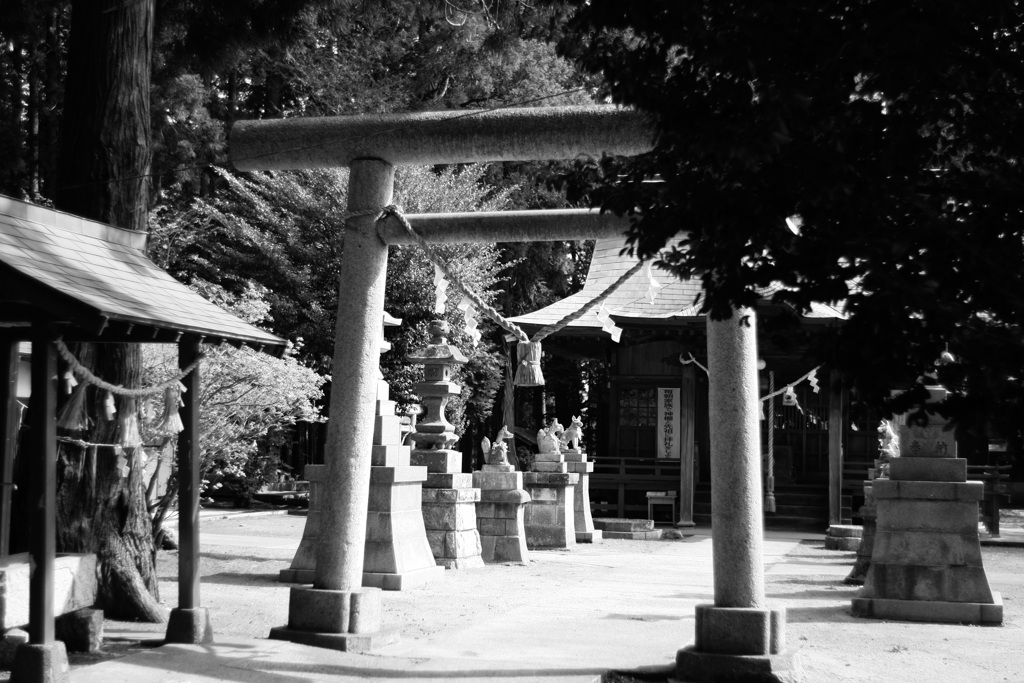 モノクロ神社