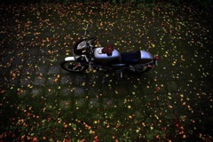 落ち葉とバイク
