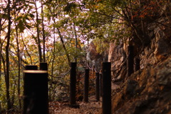 展覧山へ続く道