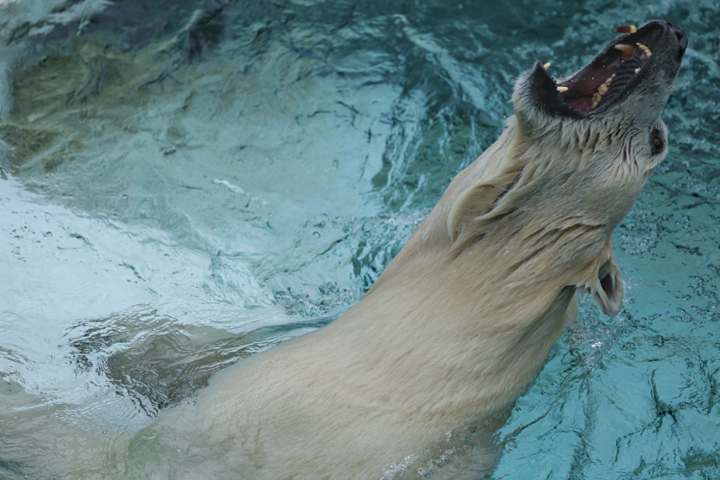 上野動物園