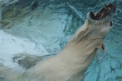 上野動物園