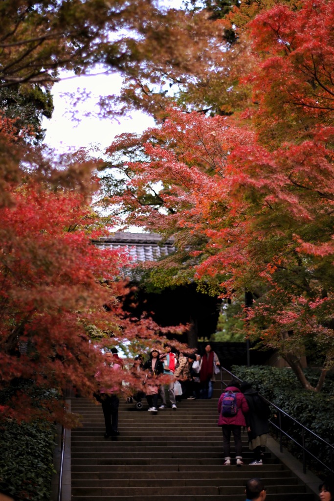 円覚寺