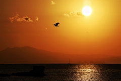 夕焼け