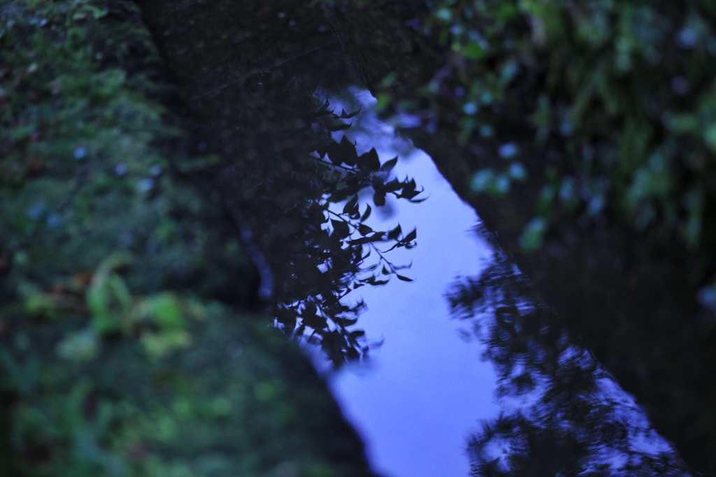 水面