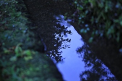 水面