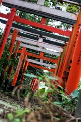 忘れ去られた神社