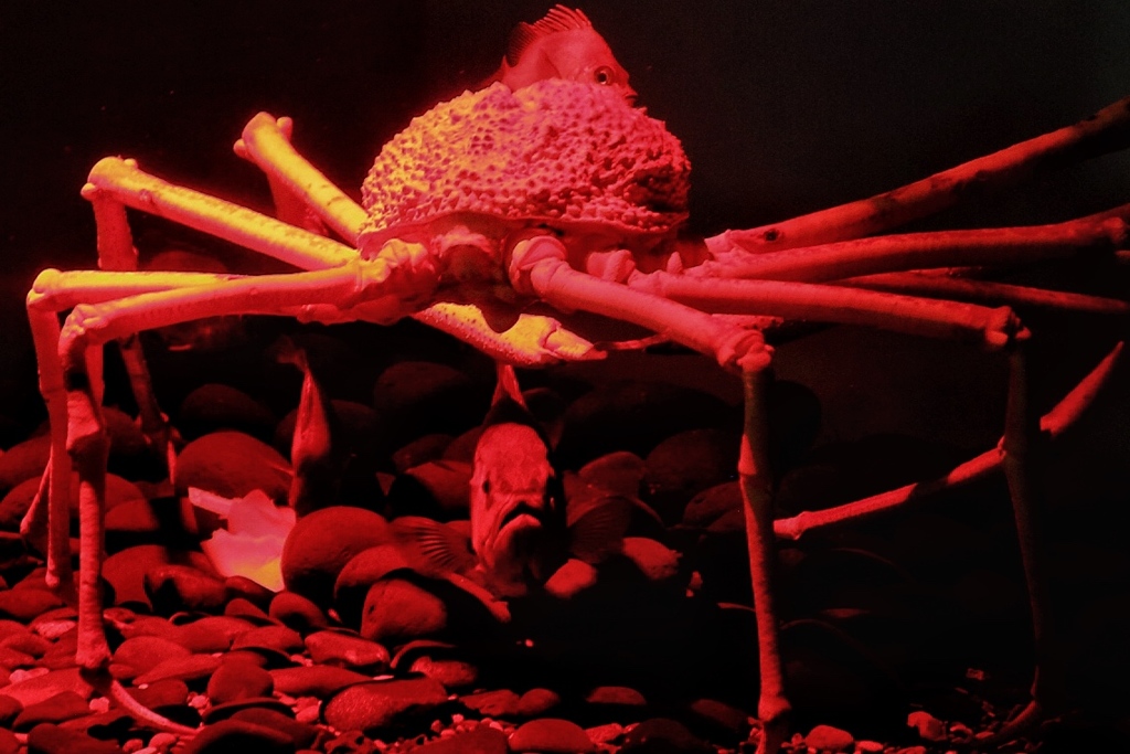 ちょっと下借りますね