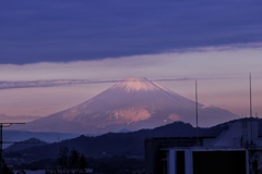朝から富士山