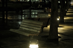 夜の公園