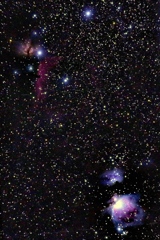 オリオン大星雲と馬頭星雲