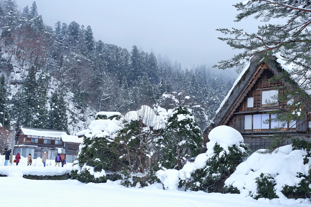 これぞ日本の風景