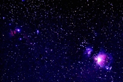 馬頭星雲も若干見える！？