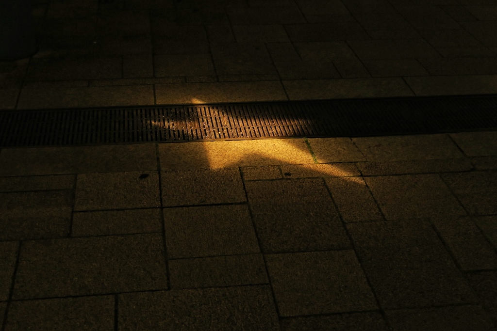 地上の星