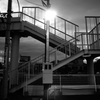 _DSC0581