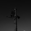 _DSC2811
