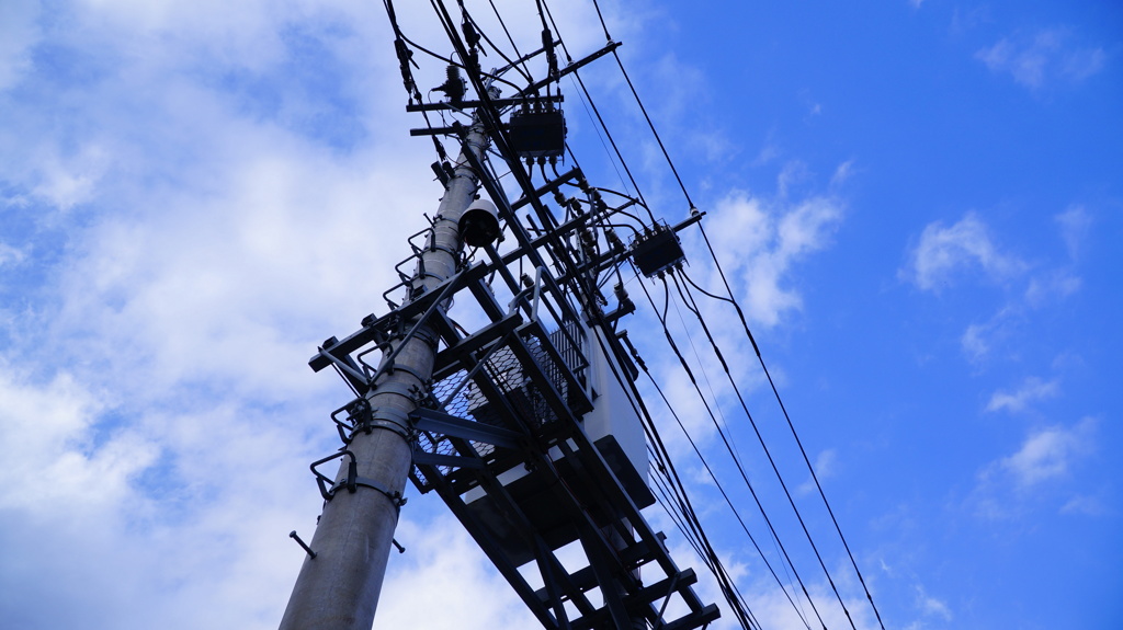 電柱