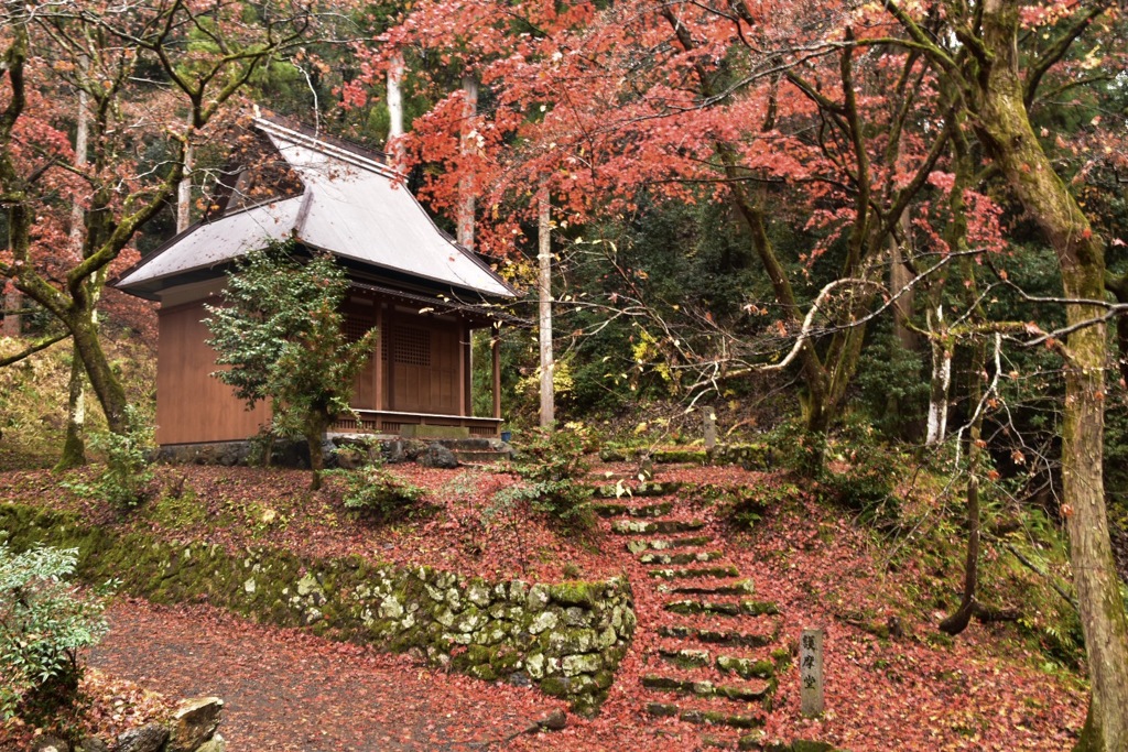 お寺のお堂