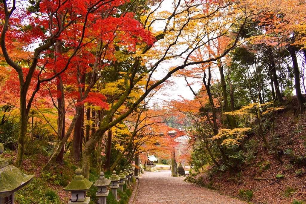 紅葉の神社