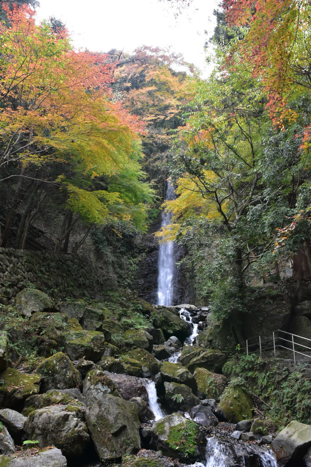 養老乃瀧